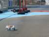 p1060454_small.jpg