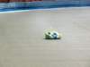 p1060476_small.jpg