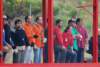 ultimateworldcub2008finales081800x536_small.jpg