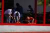 ultimateworldcup2008098800x536_small.jpg