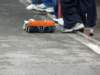 ultimatecup2007rubi131_small.jpg